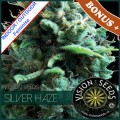 Silver Haze Feminise 