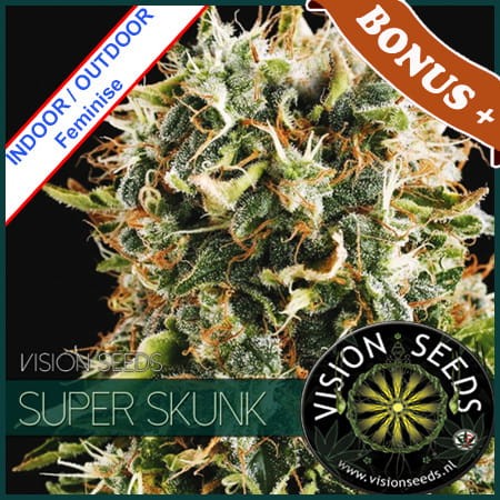 Super Skunk Feminise 