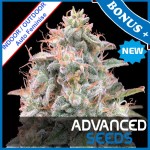 Auto Banana Cookies Feminise