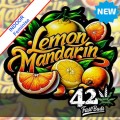 Lemon Mandarin Feminise