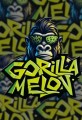 Gorilla Melon Feminise