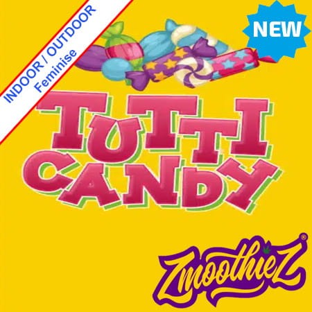 Tutti Candy Feminise