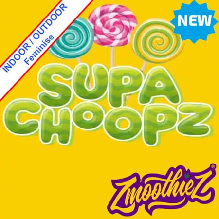 Supa Choopz Feminise