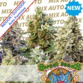 Sweet Mix Auto Feminise