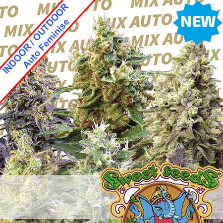 Sweet Mix Auto Feminise