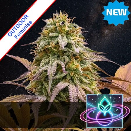 Space Cowboy Outdoor Feminise