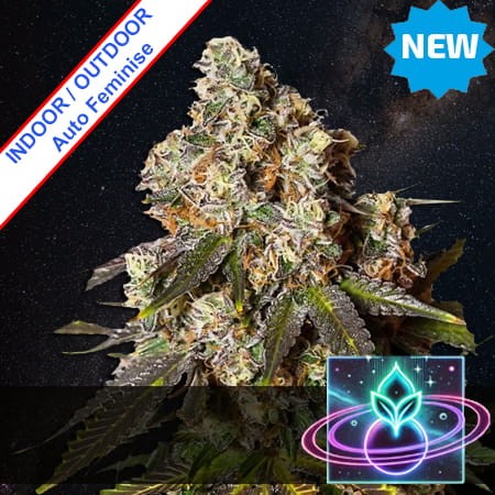 Event Horizon Auto Feminise