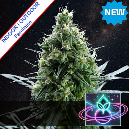 Astro Point Fast Version Feminise