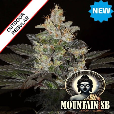 New Nanda Devi Regular