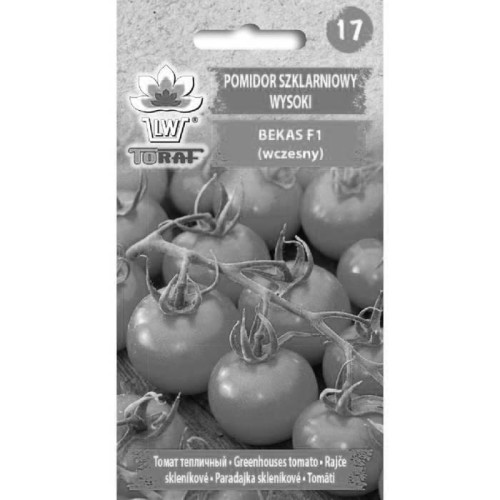 Pomidor szklarniowy - Bekas F1