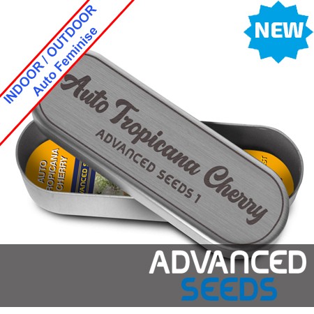 Auto Tropicana Cherry Feminise