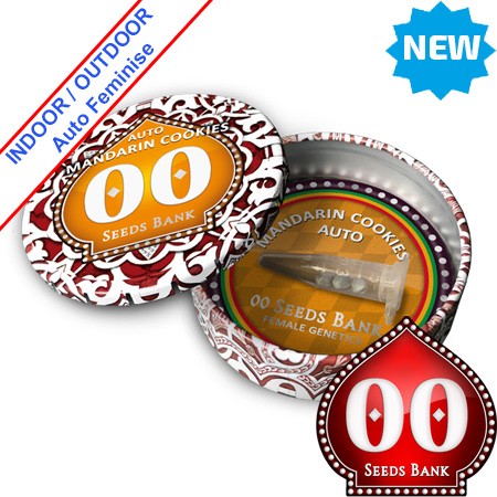 Auto Mandarin Cookies Feminise