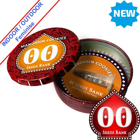 Mandarin Cookies Feminise