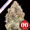 Do-Si-Dos Cookies Fast Version Feminise