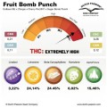 Fruit Bomb Punch Feminise
