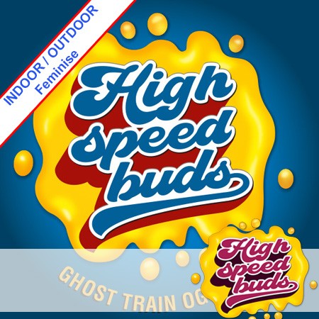 Ghost Train AND Fast Version Feminise