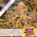 Auto High Voltage Feminise