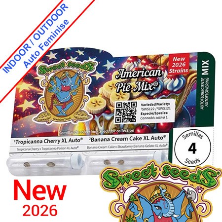 American Pie Mix Auto Feminise