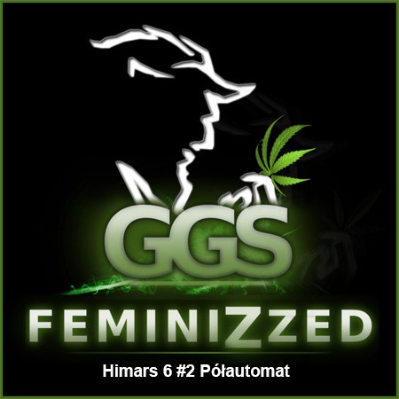 Himars6 #2 Półautomat Feminise