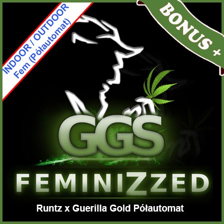 Runtz x Guerilla Gold Półautomat Feminise