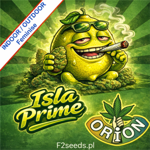 Isla Prime Fast Version Feminise