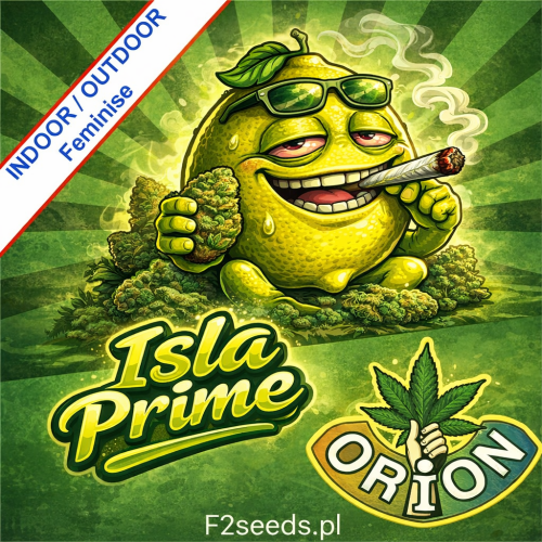 Isla Prime Fast Version Feminise