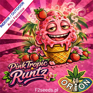 Pink Tropic Runtz Auto Feminise