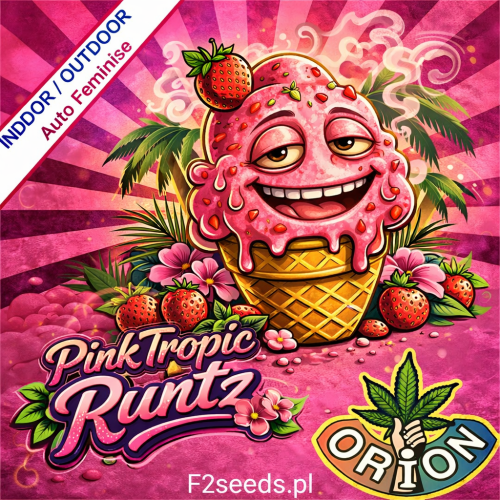 Pink Tropic Runtz Auto Feminise