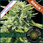 Crystal Queen Feminise 