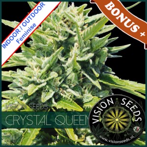 Crystal Queen Feminise 