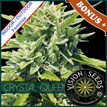 Crystal Queen Feminise 