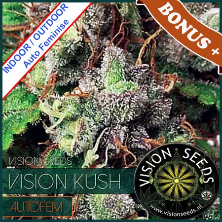 Vision Kush Auto Feminise