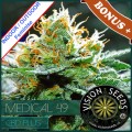 Medical 49 CBD+ Feminise 