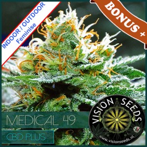 Medical 49 CBD+ Feminise 