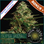 Super Skunk Auto Feminise