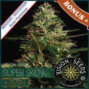 Super Skunk Auto Feminise