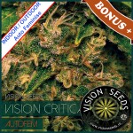 Vision Critical Auto Feminise