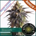 Biscotti Auto Feminise