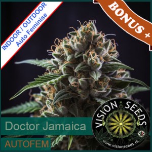 Doctor Jamaica Auto Feminise