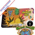 Pineapple Fruz Feminise
