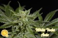 White Yoda Auto Feminise
