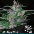 Super Cali Haze Auto Feminise