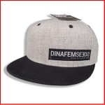 Czapka Dinafem Grey Flat Cap