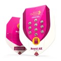 Royal AK Feminise
