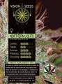 Northern Lights Feminise 