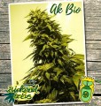 AK Bio Feminise