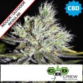 CBD Sweet & Sour Widow Regular