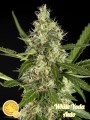 White Yoda Auto Feminise