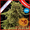 CBD Critical Cure Feminise