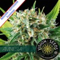 Amnesia Feminise
